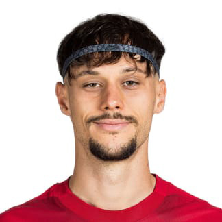 Veljko Birmancevic